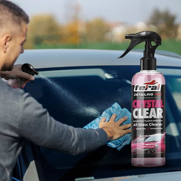 Καθαριστικό Τζαμιών Bubble Bliss Feral Detailing Pro 750ml