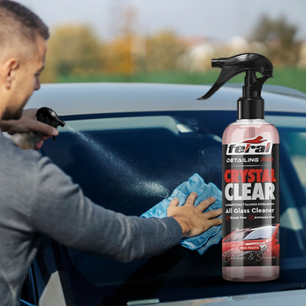 Καθαριστικό Τζαμιών Red Fruits Feral Detailing Pro 750ml