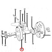 Κορώνα δετικού μισά δόντια 