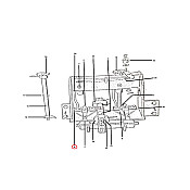 Λαμάκι δετικού κάτω 